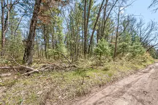 01 Bradby Blvd, Baldwin, MI 49304 - Photo 1