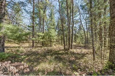 01 Bradby Blvd, Baldwin, MI 49304 - Photo 2