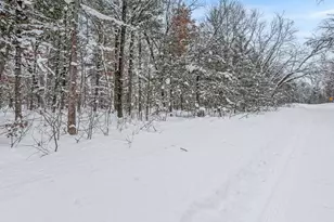 00 Bradby Blvd, Baldwin, MI 49304 - Photo 1