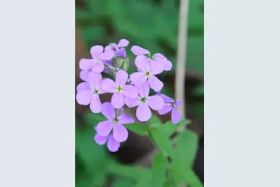 2528 Vanderbilt Avenue, Portage, MI 49024 - Photo 8