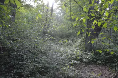 2528 Vanderbilt Avenue, Portage, MI 49024 - Photo 60