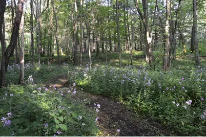 2528 Vanderbilt Avenue, Portage, MI 49024 - Photo 58