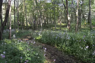 2528 Vanderbilt Ave, Portage, MI 49024 - Photo 34