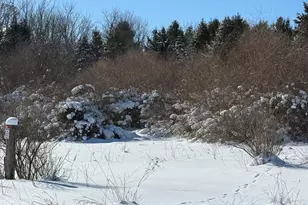 6800 W Barnum Rd, Middleville, MI 49333 - Photo 1