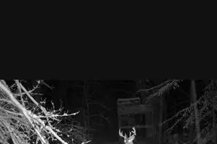 2244 19 Mile Rd, Kent City, MI 49330 - Photo 60