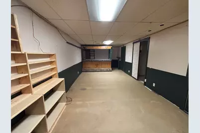 2598 Wildcat Road, Saint Johns, MI 48879 - Photo 20