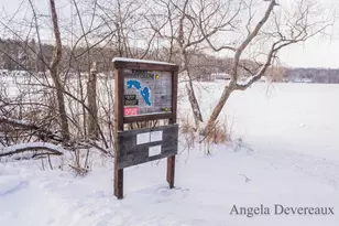 6040 N Hillman Rd, Six Lakes, MI 48886 - Photo 34