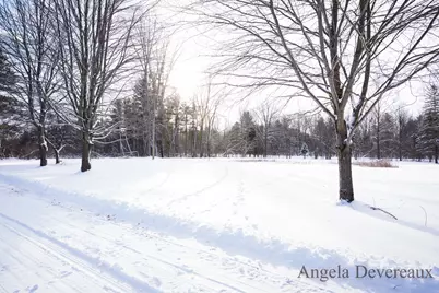 6040 N Hillman Road, Six Lakes, MI 48886 - Photo 32