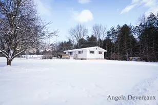 6040 N Hillman Rd, Six Lakes, MI 48886 - Photo 4