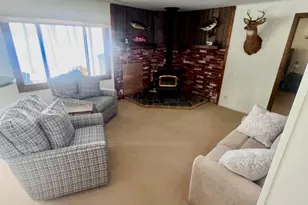 10140 Alpine Dr, Reed City, MI 49677 - Photo 52
