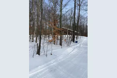 10140 Alpine Drive, Reed City, MI 49677 - Photo 16