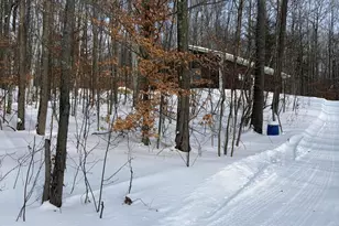 10140 Alpine Dr, Reed City, MI 49677 - Photo 16