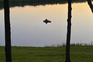 10140 Alpine Dr, Reed City, MI 49677 - Photo 68