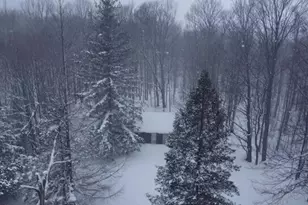 8903 Maidens Rd, Bear Lake, MI 49614 - Photo 18