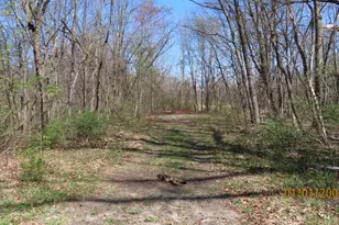 V / L Redfield, Edwardsburg, MI 49112 - Photo 1