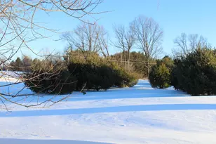 10289 Lee Rd, Grass Lake, MI 49240 - Photo 76