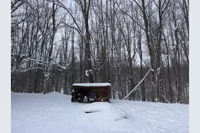 7808 E 48th Street, Chase, MI 49623 - Photo 6