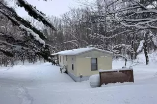 7808 E 48th St, Chase, MI 49623 - Photo 1