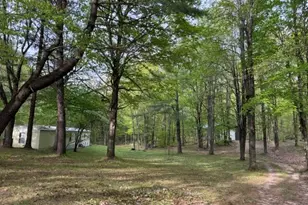 7808 E 48th St, Chase, MI 49623 - Photo 38