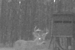 7808 E 48th St, Chase, MI 49623 - Photo 34