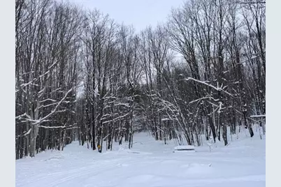 7808 E 48th Street, Chase, MI 49623 - Photo 14