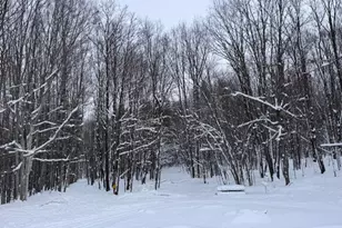 7808 E 48th St, Chase, MI 49623 - Photo 8