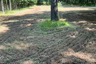 7808 E 48th St, Chase, MI 49623 - Photo 16