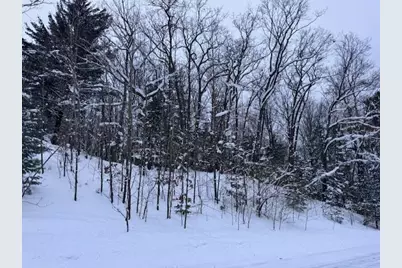 Frank Smith Rd, Chase, MI 49623 - Photo 4