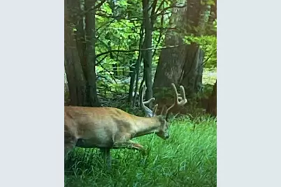 V/L 125th Avenue, Stanwood, MI 49346 - Photo 8