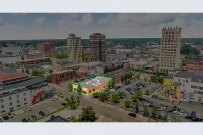 132 W Cortland Street, Jackson, MI 49201 - Photo 30