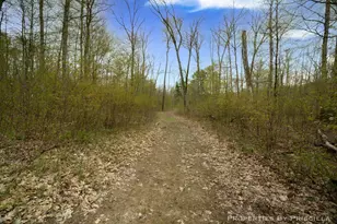 3008 E Upper Field Trail, Newaygo, MI 49337 - Photo 96