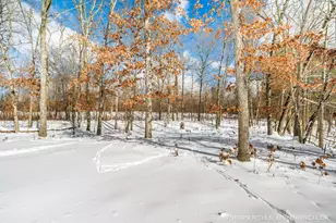 3008 E Upper Field Trail, Newaygo, MI 49337 - Photo 126