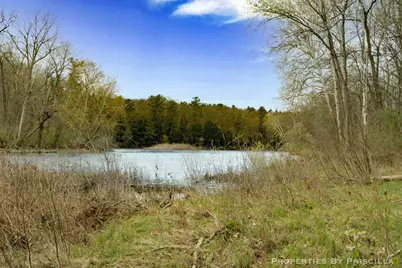 3008 E Upper Field Trail, Newaygo, MI 49337 - Photo 106