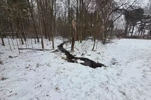 7107 W Webster Rd, Montague, MI 49437 - Photo 50