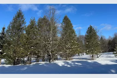 00 E 24 Road, Cadillac, MI 49601 - Photo 2