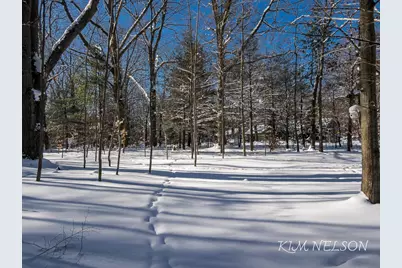 4791 Doug Drive, Whitehall, MI 49461 - Photo 4