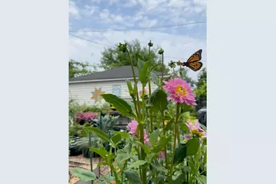 20457 Gardendale Street, Detroit, MI 48221 - Photo 46