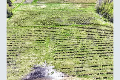 Vl Benny Ct (Private) #Parcel 4, Grand Junction, MI 49056 - Photo 2