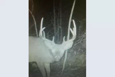 9194 Orion Trail, White Cloud, MI 49349 - Photo 50