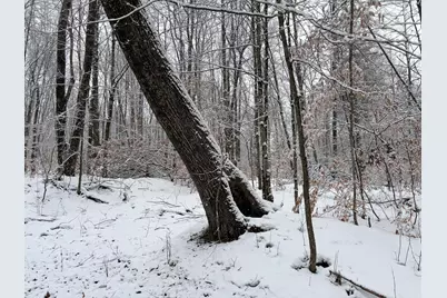 9194 Orion Trail, White Cloud, MI 49349 - Photo 12