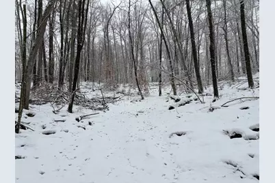 9194 Orion Trail, White Cloud, MI 49349 - Photo 14