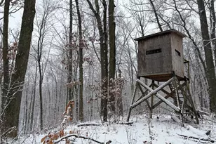 9194 Orion Trl, White Cloud, MI 49349 - Photo 1