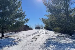 13631 Bemis Rd, Manchester, MI 48158 - Photo 26