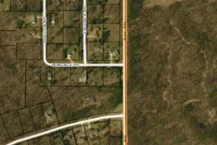 10881 Hoffman Rd, Three Rivers, MI 49093 - Photo 34