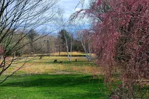 425 E Sternberg Rd, Norton Shores, MI 49441 - Photo 32