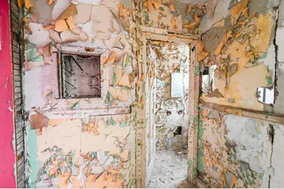 261 Chandler Street, Detroit, MI 48202 - Photo 22