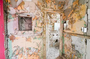 261 Chandler St, Detroit, MI 48202 - Photo 22