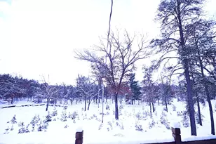 1278 W Pine Tree Rd, Baldwin, MI 49304 - Photo 24