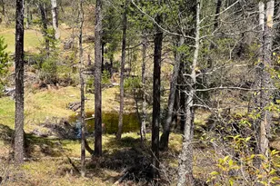 1278 W Pine Tree Rd, Baldwin, MI 49304 - Photo 26