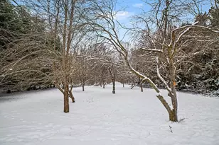 9912 S Mission Rd, Shepherd, MI 48883 - Photo 20